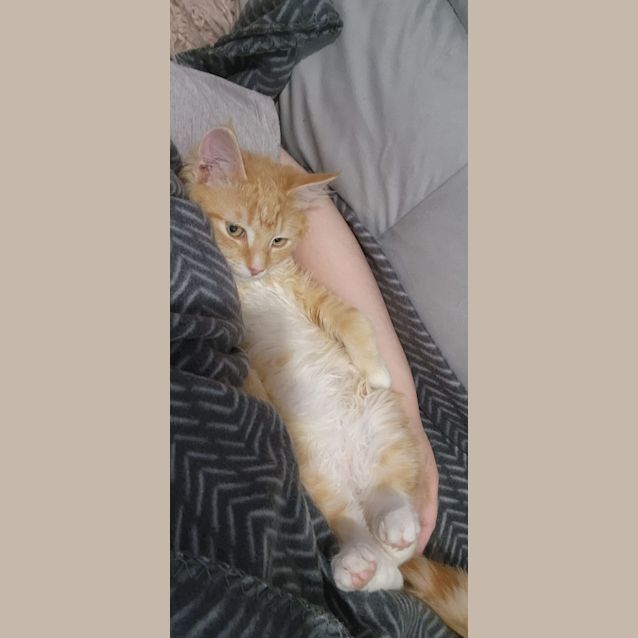 Photo of Samwise