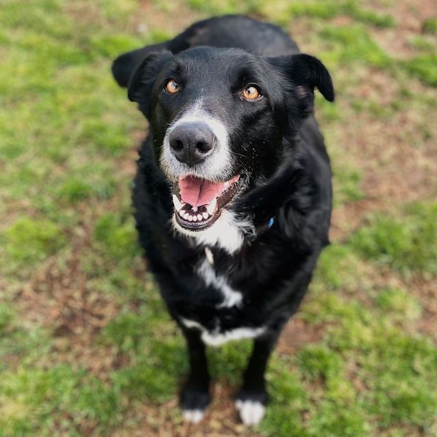 Photo of Gypsy