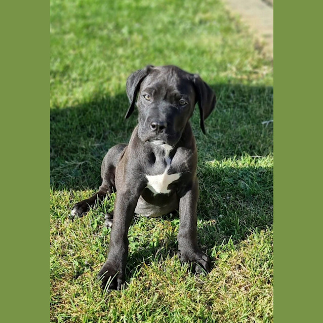 Photo of Jive 