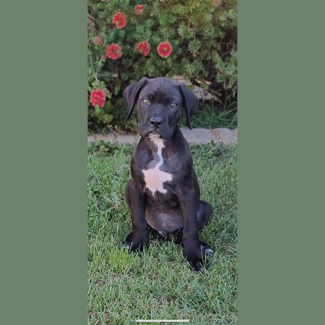 Photo of Jive 