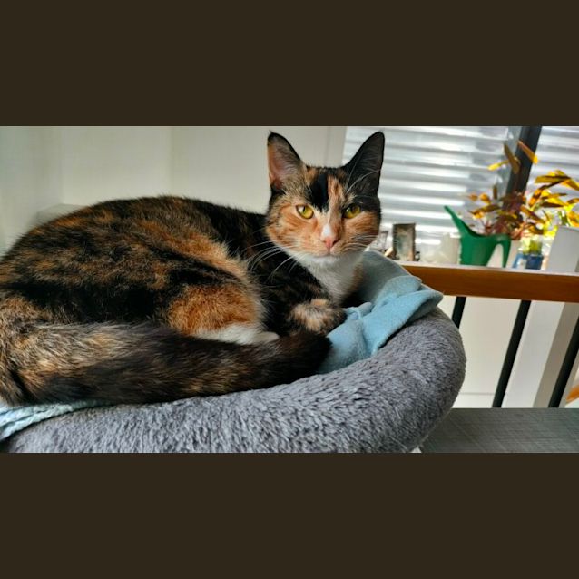 Photo of Chloe