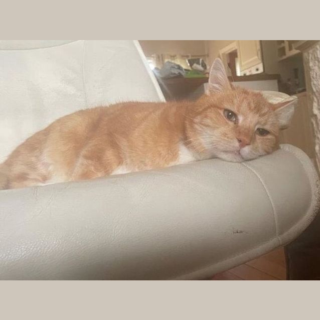 Photo of Scooter Wilberforce