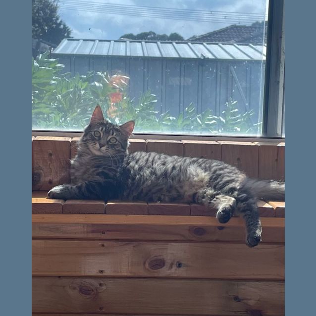 Photo of Jack & Luna