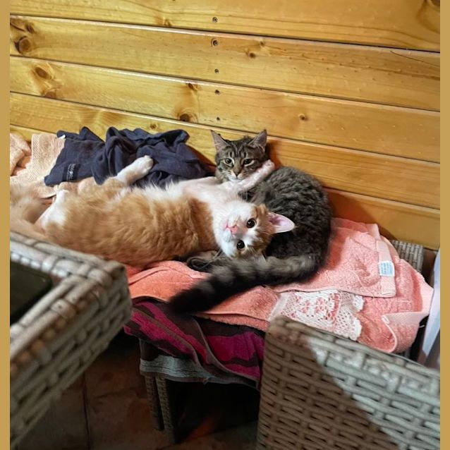 Photo of Jack & Luna