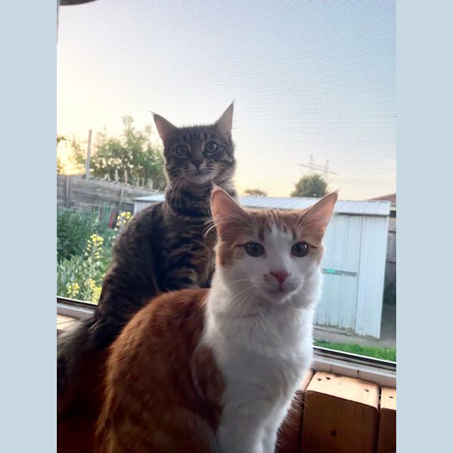 Photo of Jack & Luna