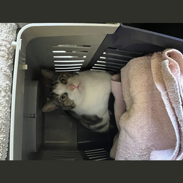 Photo of Pablo