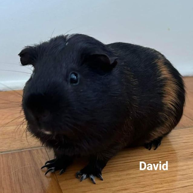 Photo of David