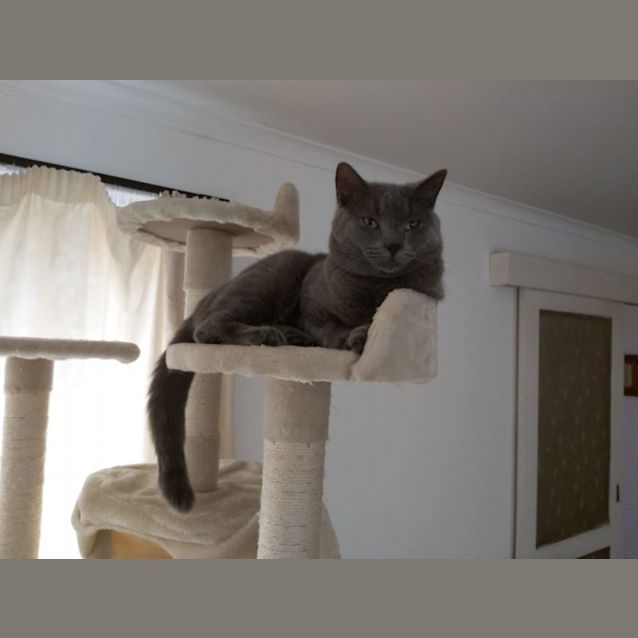 Photo of Brett And Cal