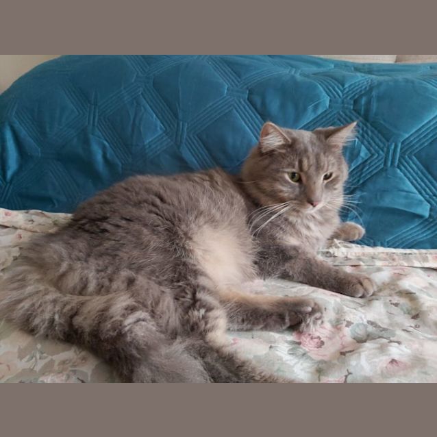 Photo of Brett And Cal