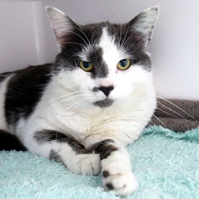 Photo of Tommy Sta011697