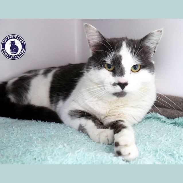 Photo of Tommy Sta011697