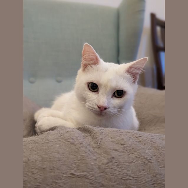 Photo of Aurora