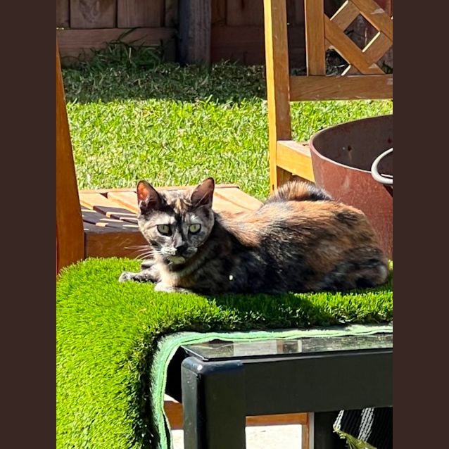 Photo of Lulu