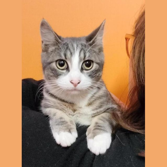 Photo of Timmy