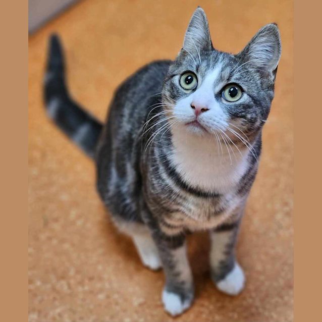 Photo of Timmy