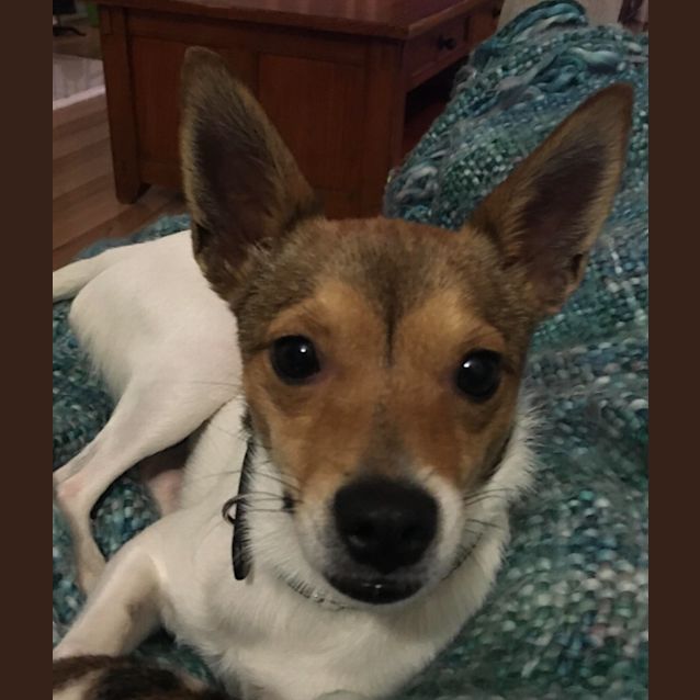 Photo of Penny