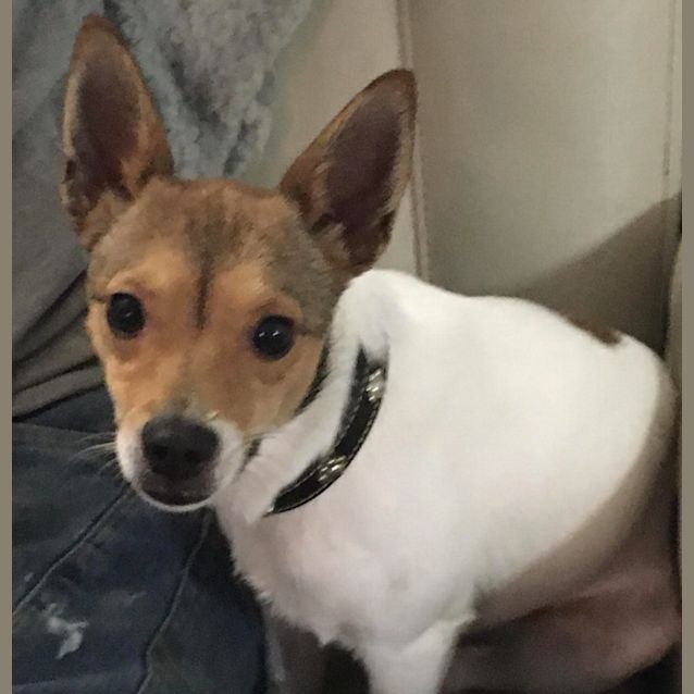 Photo of Penny