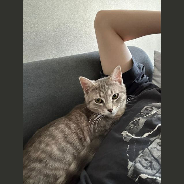 Photo of Max