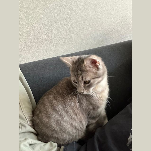 Photo of Max