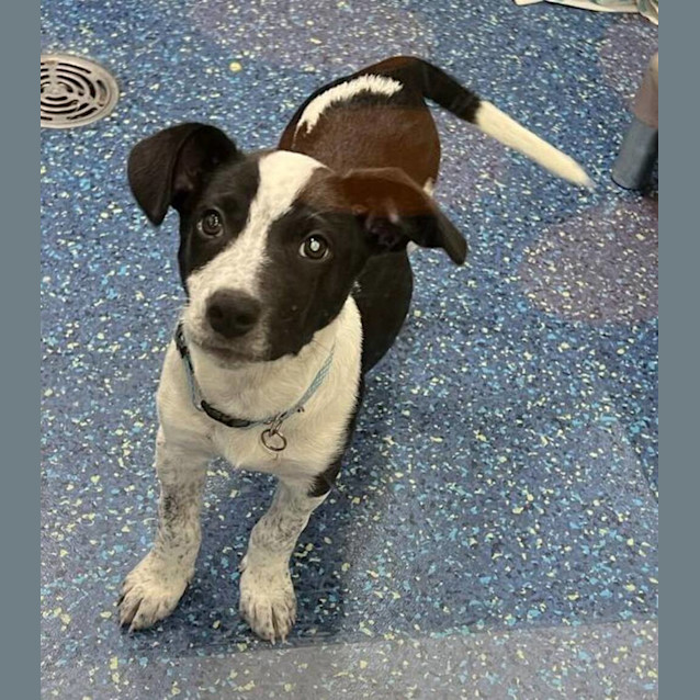 Photo of Korra