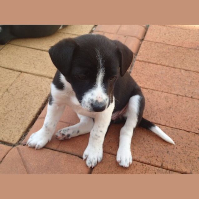 Photo of Matilda