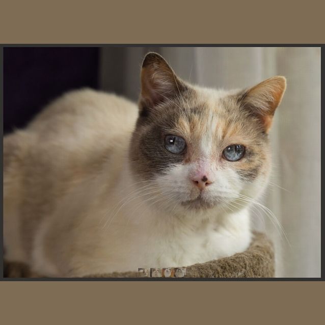 Photo of Kiki