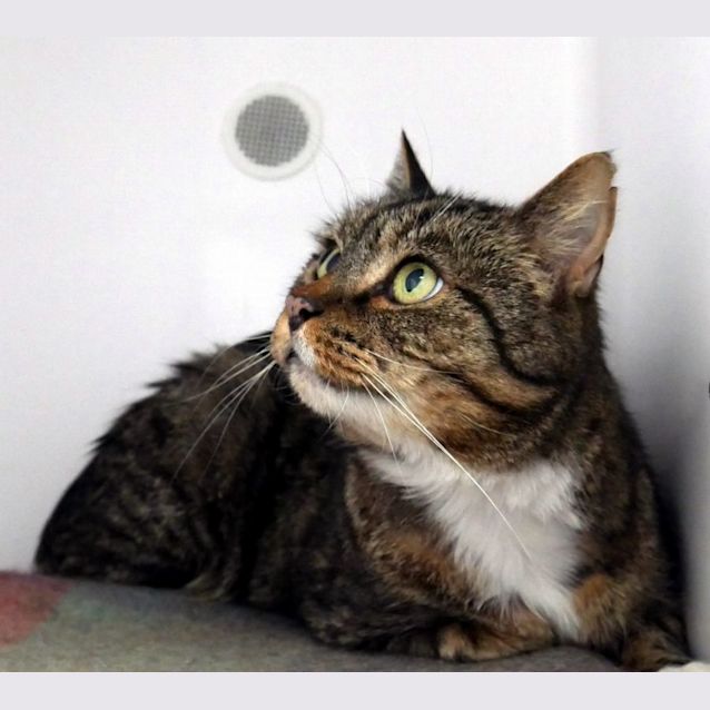 Photo of Coby Sua011588