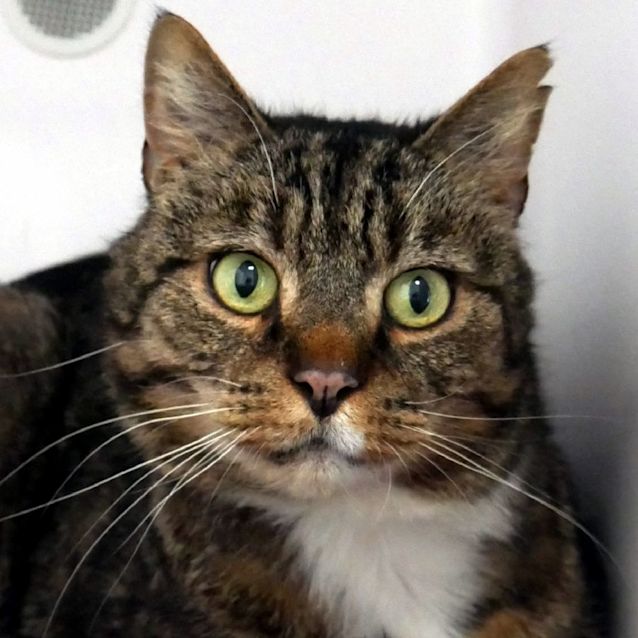 Photo of Coby Sua011588