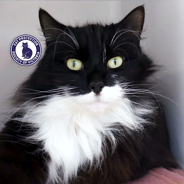 Photo of Ellie Rsuk003361