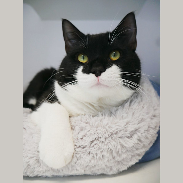 Photo of Roger Rabbit Sta011675