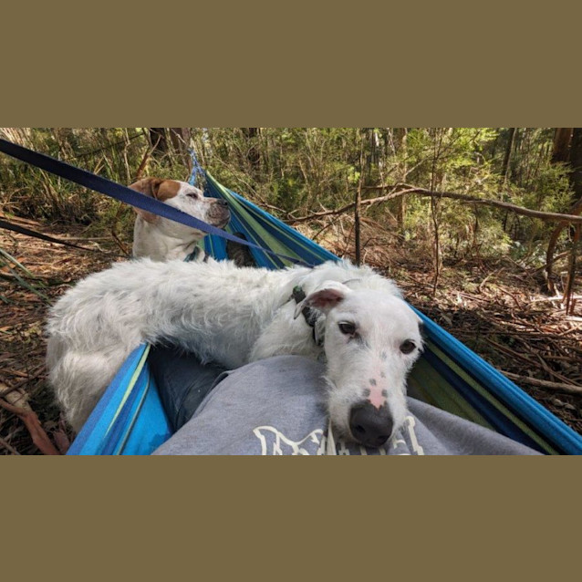 Photo of Tess Elderton