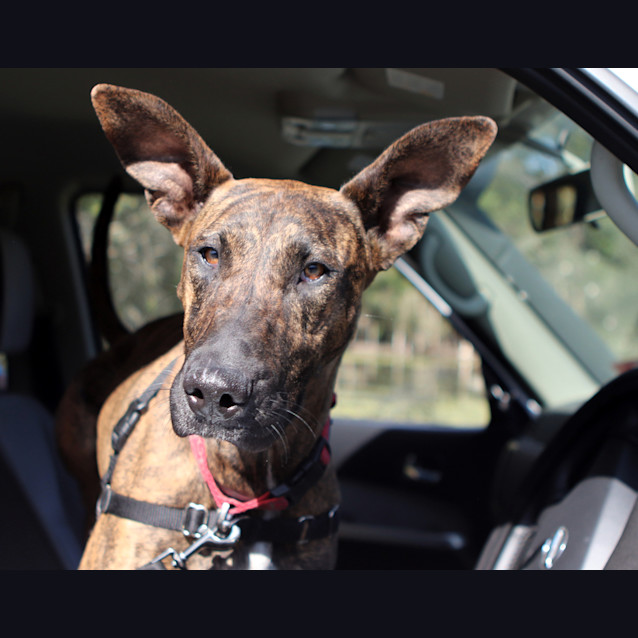 Photo of Maya