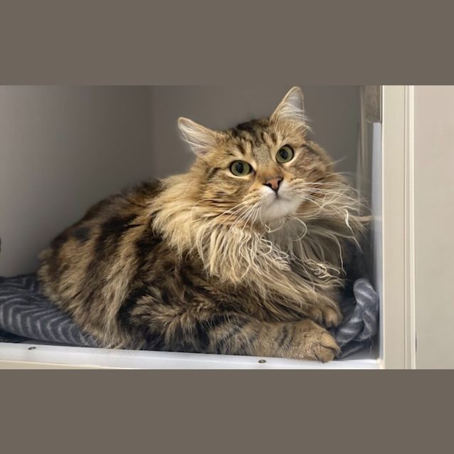 Photo of Ziggy