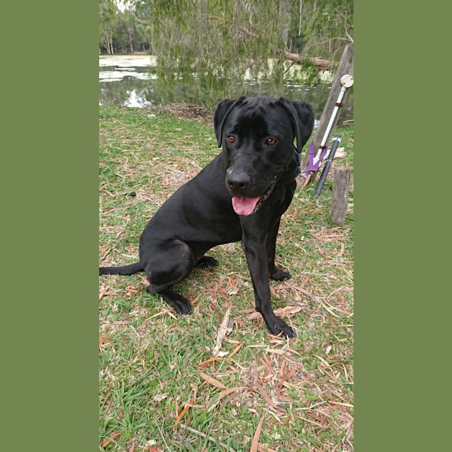 Photo of Penny