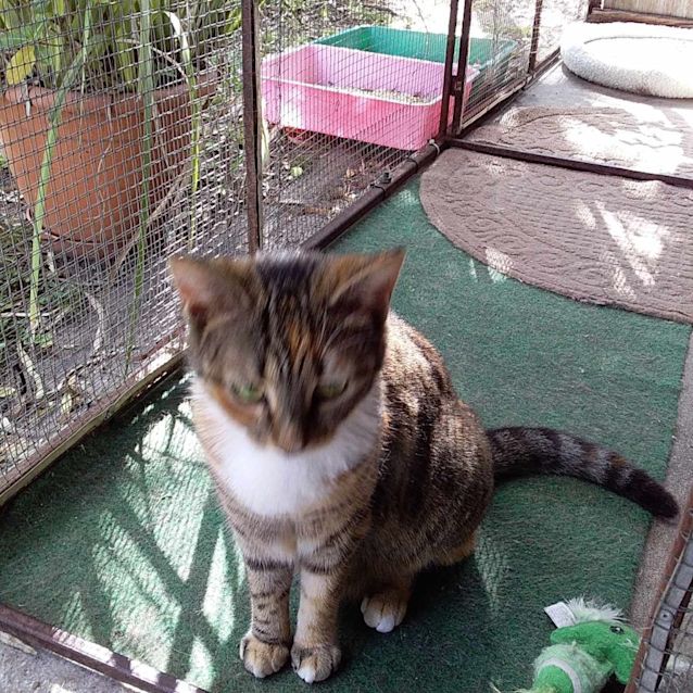 Photo of Carmilla