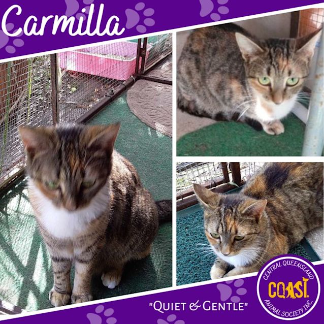 Photo of Carmilla