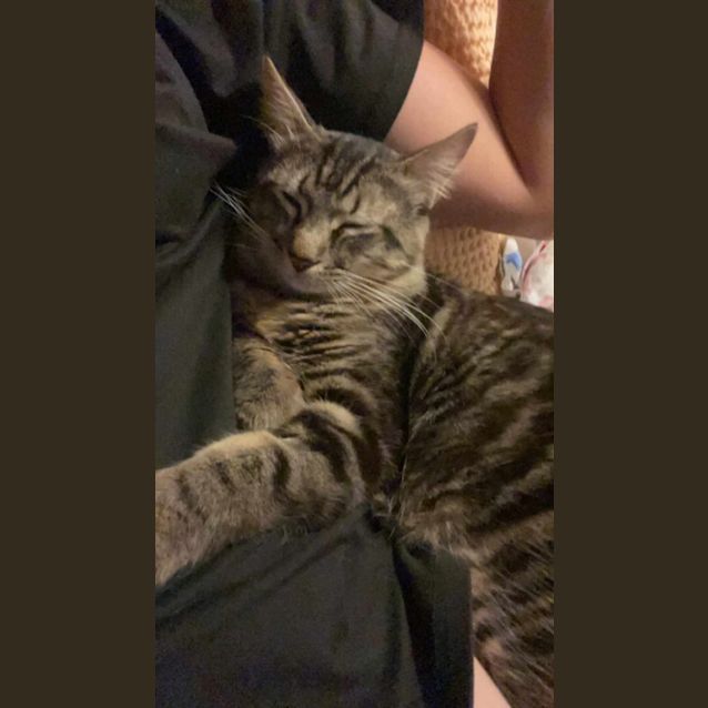 Photo of Seamus O'malley