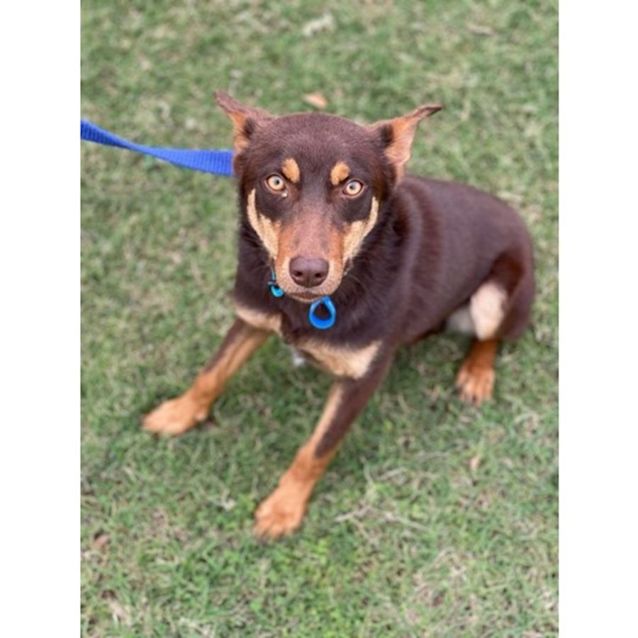 Photo of Archer