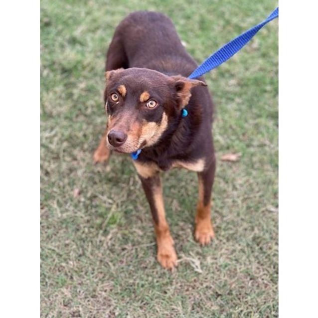 Photo of Archer