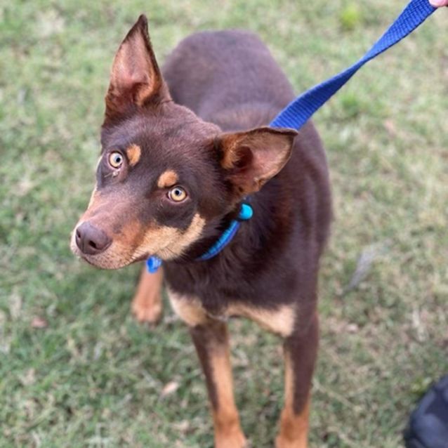 Photo of Archer