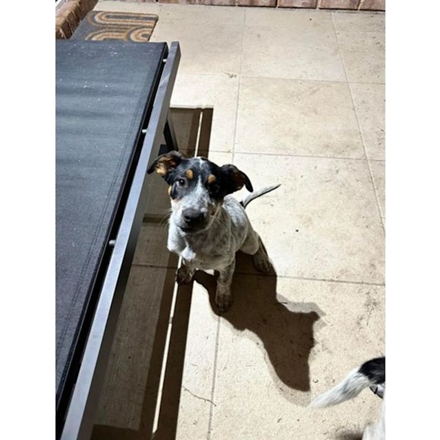 Photo of Lucille