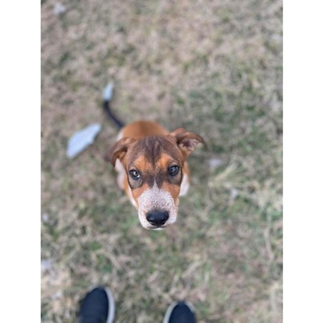 Photo of Onyx