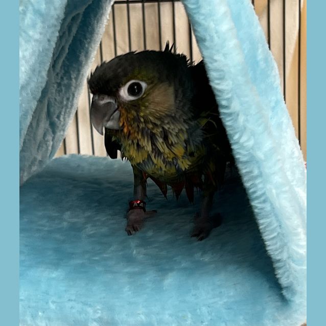 Photo of Eddie