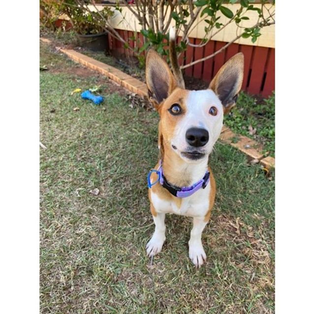 Photo of Zoe
