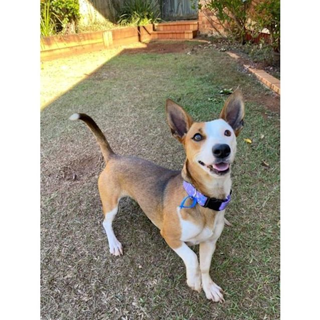 Photo of Zoe