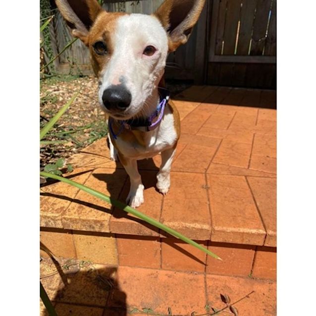 Photo of Zoe