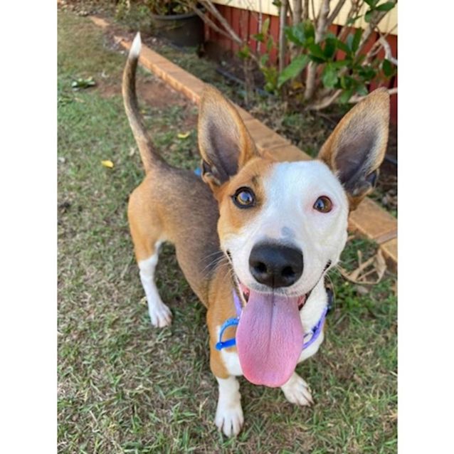 Photo of Zoe