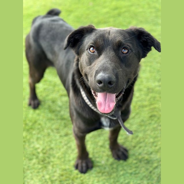 Photo of Jet
