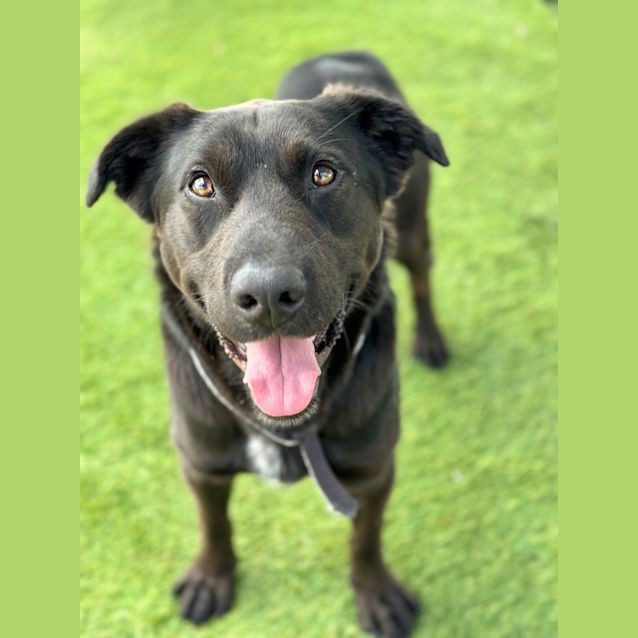 Photo of Jet