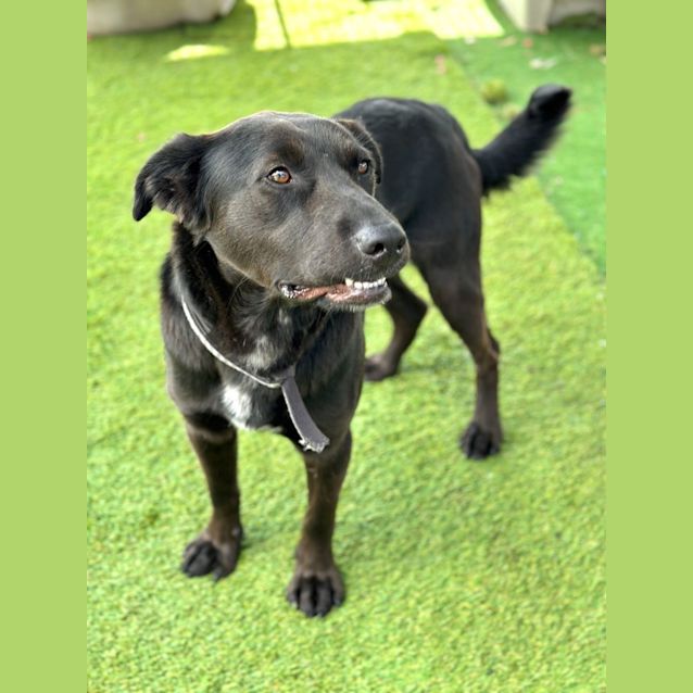 Photo of Jet